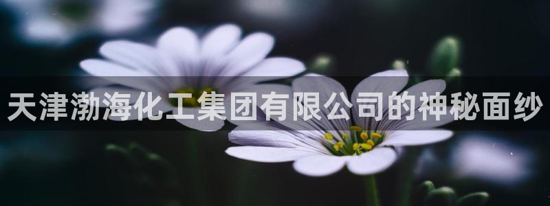 球盟会黑款吗还是白款