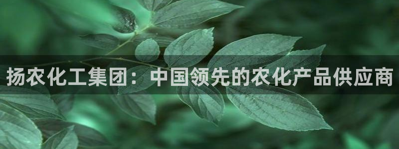 球盟会唯一