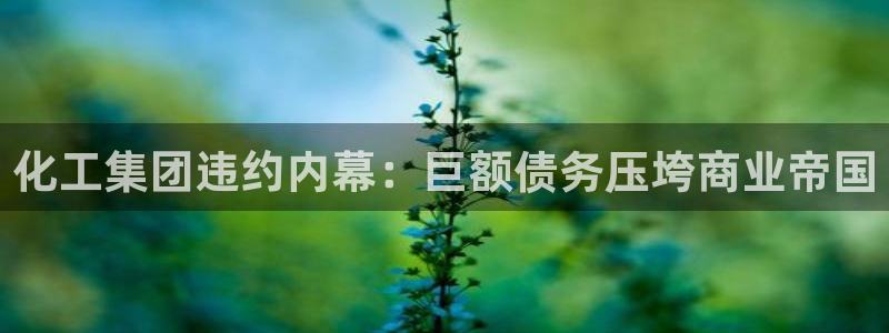 球盟会和中欧