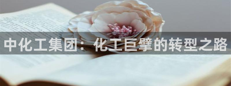 球盟会APP下载