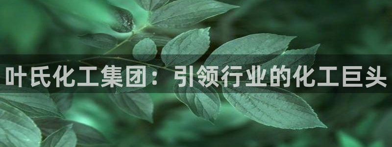 球盟会黑款吗知乎