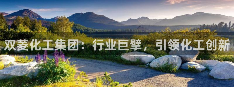 球盟会进不去吗