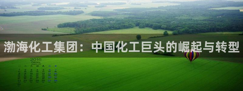 球盟会里面有打牌的嘛