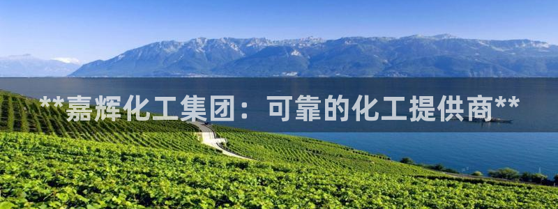 球盟会邮箱：**嘉辉化工集团：可靠的化工提供商**