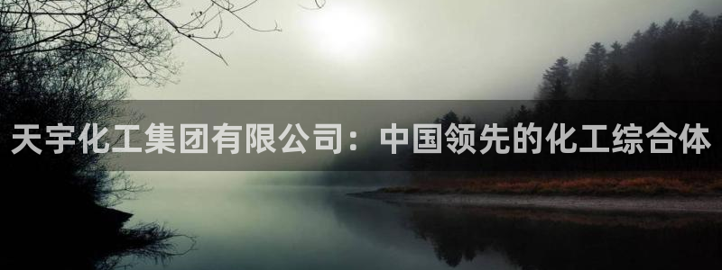 球盟会优惠领取网站：天宇化工集团有限公司：中国领先的化工综合
