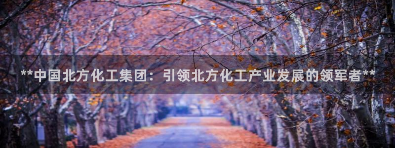 球盟会游戏：**中国北方化工集团：引领北方化工产业发展的领军