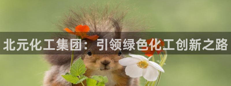球盟会APP官网