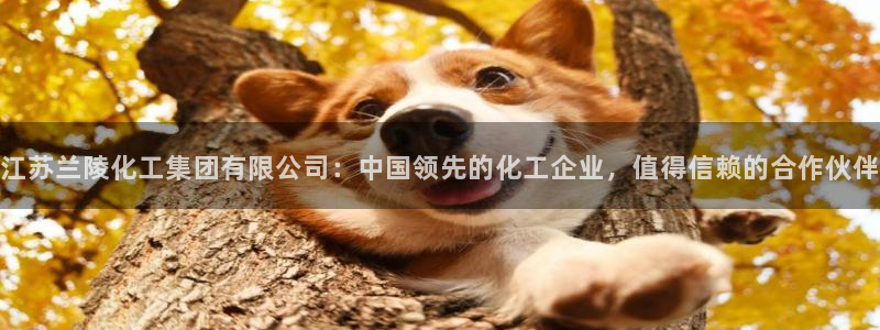 球盟会有没有黑单的活动：江苏兰陵化工集团有限公司：中国领先的