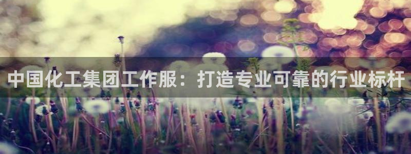 球盟会体验金球奖吗