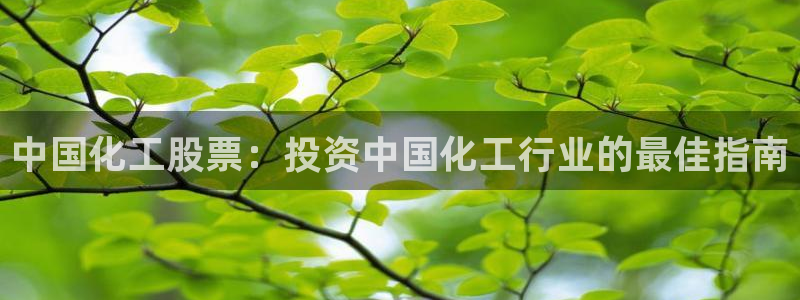 球盟会官方客服