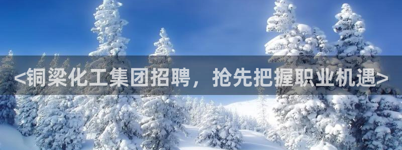 球盟会唯一