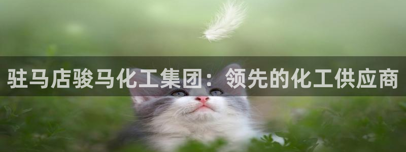 球盟会qmh登录地址：驻马店骏马化工集团：领先的化工供应商