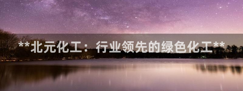 球盟会论坛：**北元化工：行业领先的绿色化工**