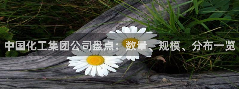 球盟会在线网站