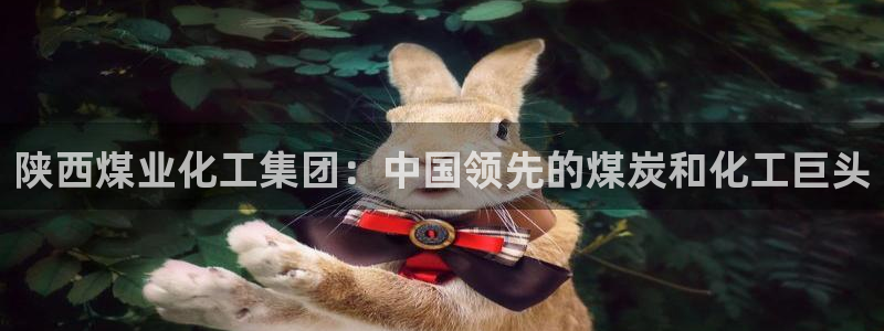 球盟会官方网址入口：陕西煤业化工集团：中国领先的煤炭和化工巨
