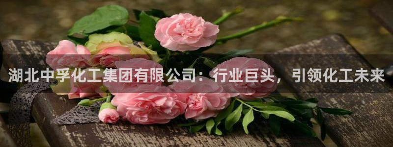 球盟会有没有黑单的活动
