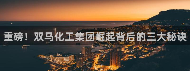 球盟会进不去
