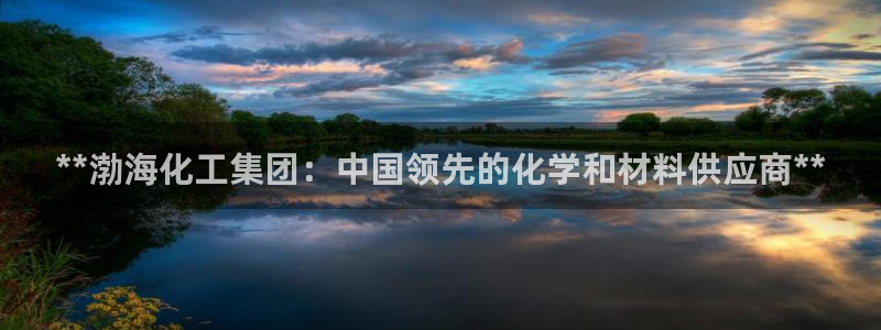 球盟会官方最新入口：**渤海化工集团：中国领先的化学和材料供