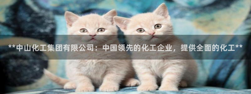 球盟会吧：**中山化工集团有限公司：中国领先的化工企业，提供