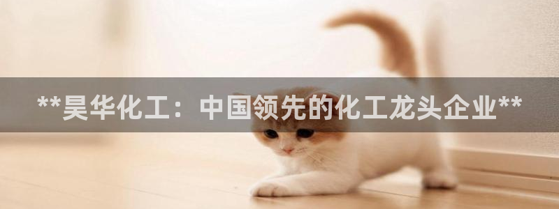 球盟会官方下载：**昊华化工：中国领先的化工龙头企业**