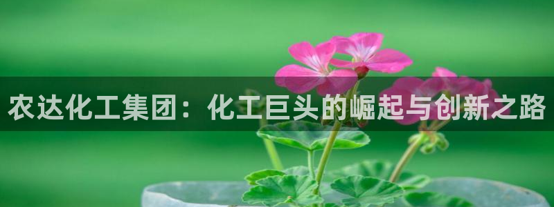 球盟会游戏几点玩合适