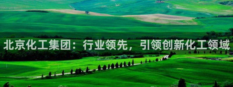 球盟会黑嘛：北京化工集团：行业领先，引领创新化工领域