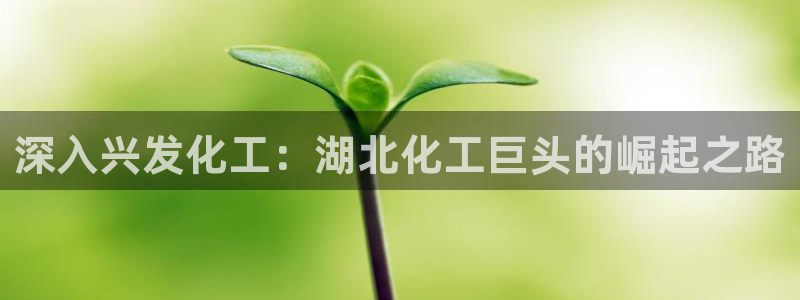 球盟会体育app官方网站