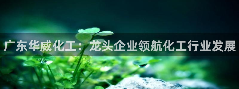 球盟会电子