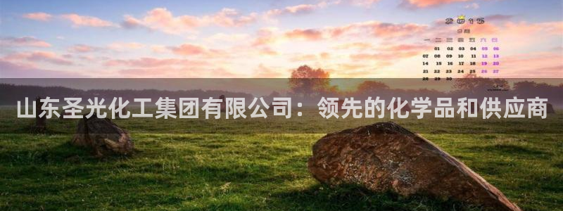 球盟会优惠领取网站：山东圣光化工集团有限公司：领先的化学品和