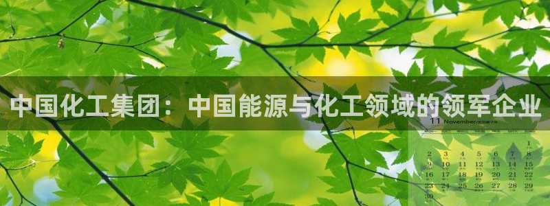 球盟会黑款吗还是白款：中国化工集团：中国能源与化工领域的领军