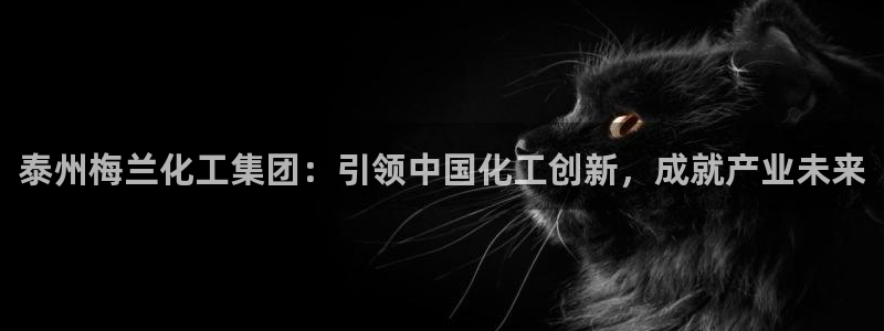 球盟会综合体育平台怎么样：泰州梅兰化工集团：引领中国化工创新