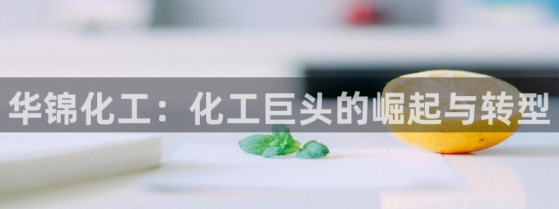 球盟会下载最新版