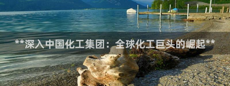 球盟会app最新地址在哪里：**深入中国化工集团：全球化工巨