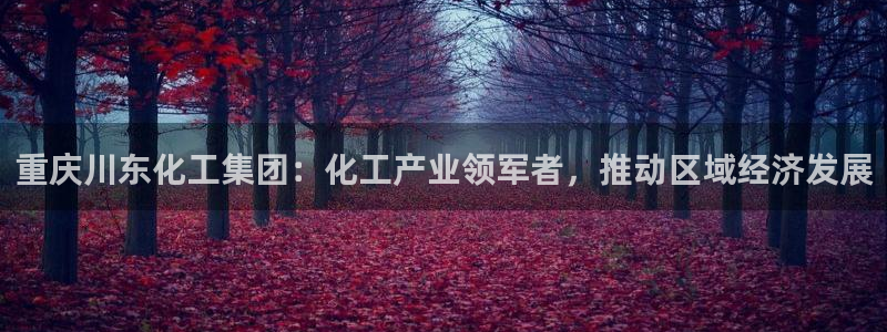 球盟会app最新地址下载安装