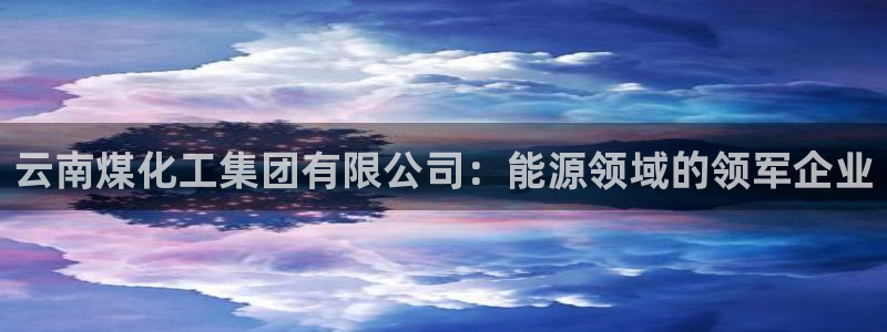 球盟会黑款吗是真的吗：云南煤化工集团有限公司：能源领域的领军
