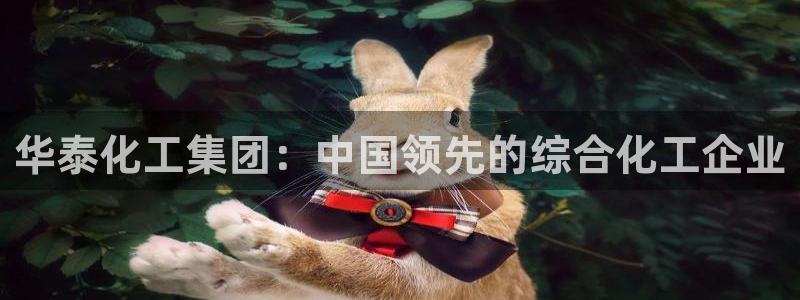 球盟会电子好下吗：华泰化工集团：中国领先的综合化工企业