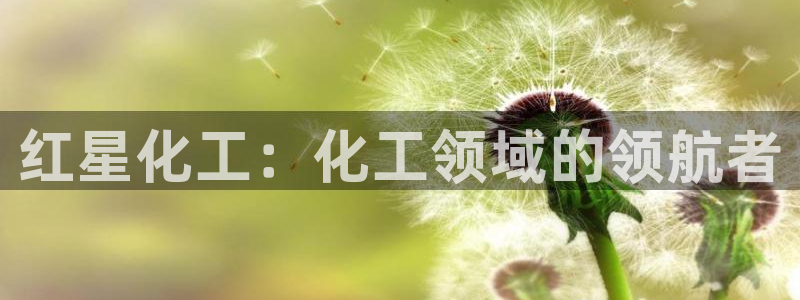 球盟会乐虎：红星化工：化工领域的领航者