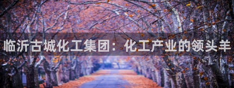 球盟会类似的网站