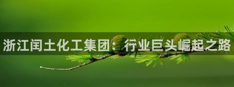 球盟会和中欧会的区别