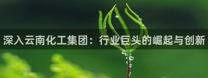 球盟会app入口