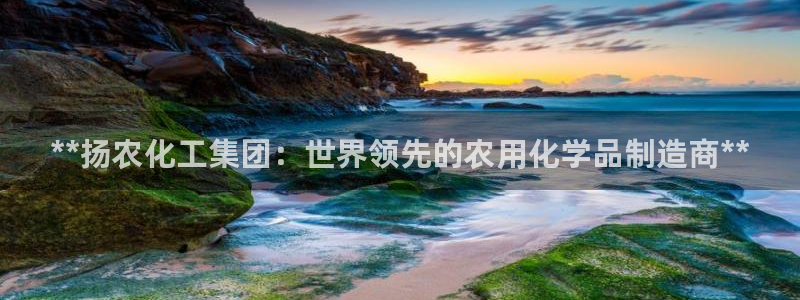 球盟会官方网站：**扬农化工集团：世界领先的农用化学品制造商