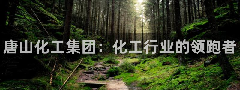 球盟会电子好黑