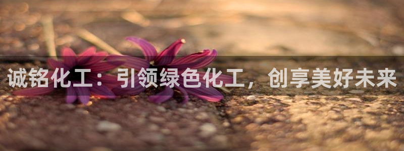 球盟会下载最新版