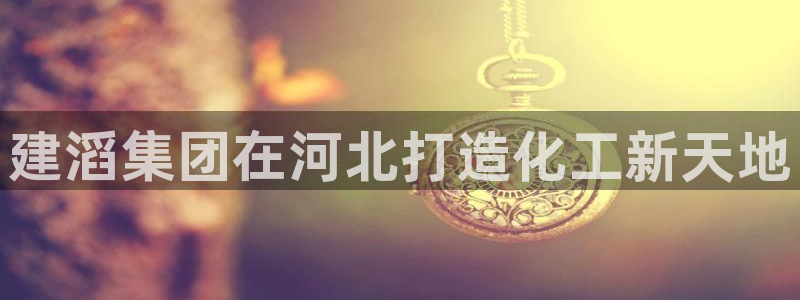 球盟会进不去