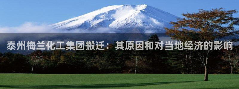 球盟会优惠券：泰州梅兰化工集团搬迁：其原因和对当地经济的影响