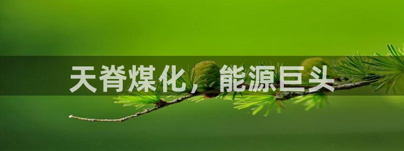球盟会APP下载：天脊煤化，能源巨头