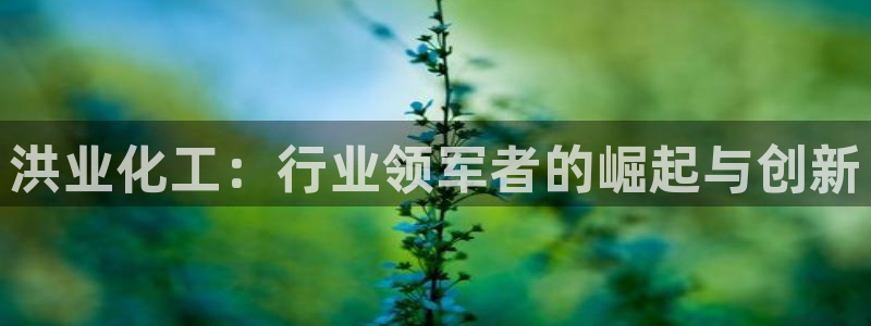球盟会网页版登陆