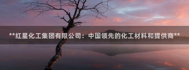 球盟会App：**红星化工集团有限公司：中国领先的化工材料和