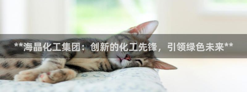 球盟会可以提现么：**海晶化工集团：创新的化工先锋，引领绿色