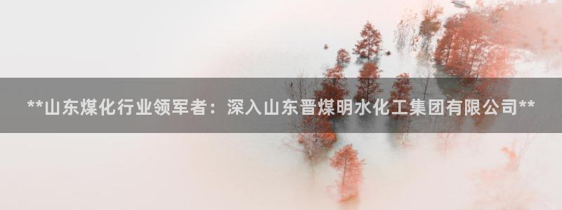 球盟会中国官方网站：**山东煤化行业领军者：深入山东晋煤明水